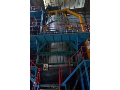廣州增城漂染廠18t/h生物質氣化爐供熱系統